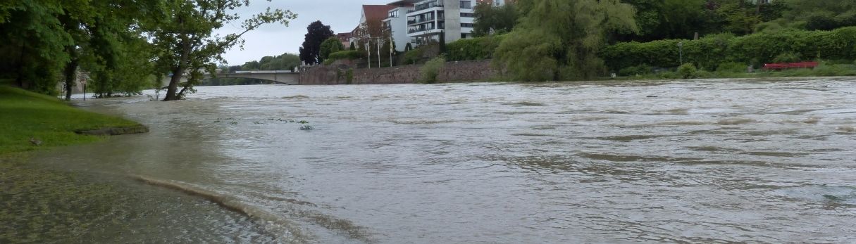 Intelligent Flood Protection for Critical Infrastructure
