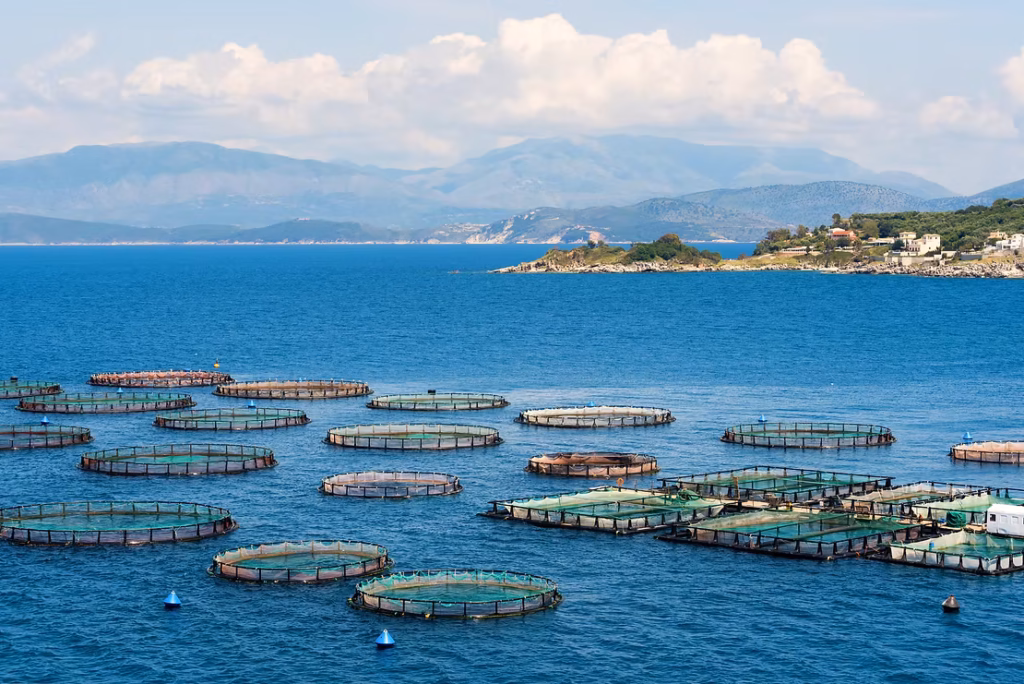 The Key to Coastal Aquaculture: Secure Sustainable Harvests with Data-Driven Practices