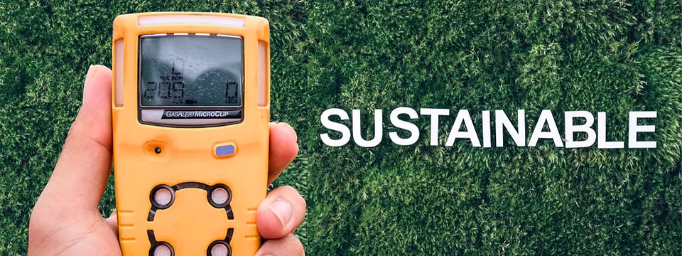 Rent or Buy? Choosing the Right Portable Gas Detector for Your Project