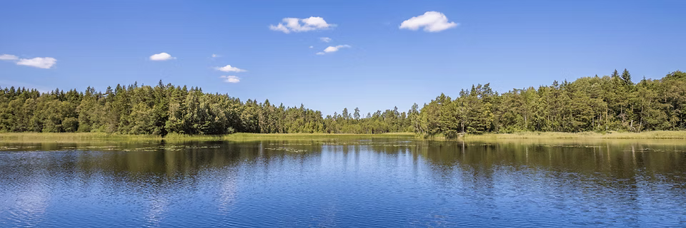 Why Water Quality Monitoring is Important?